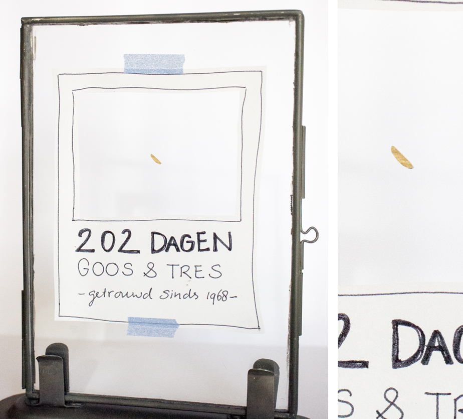 202 dagen G&T_906x1024